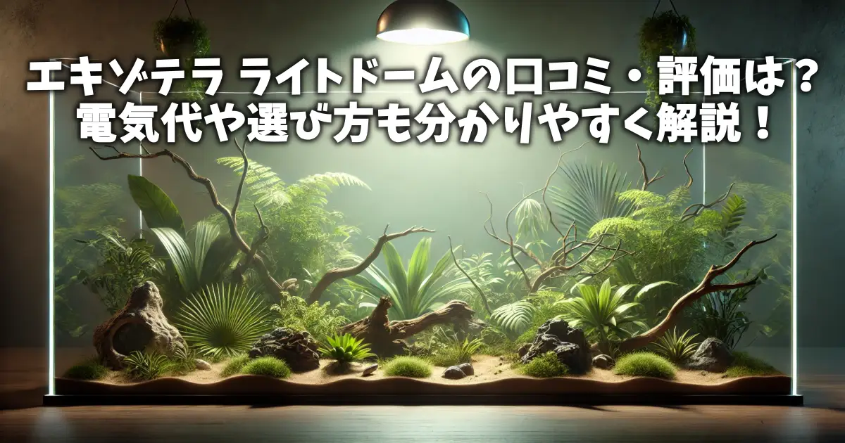 エキゾテラ ライトドームの口コミ・評価は？電気代や選び方も分かりやすく解説！