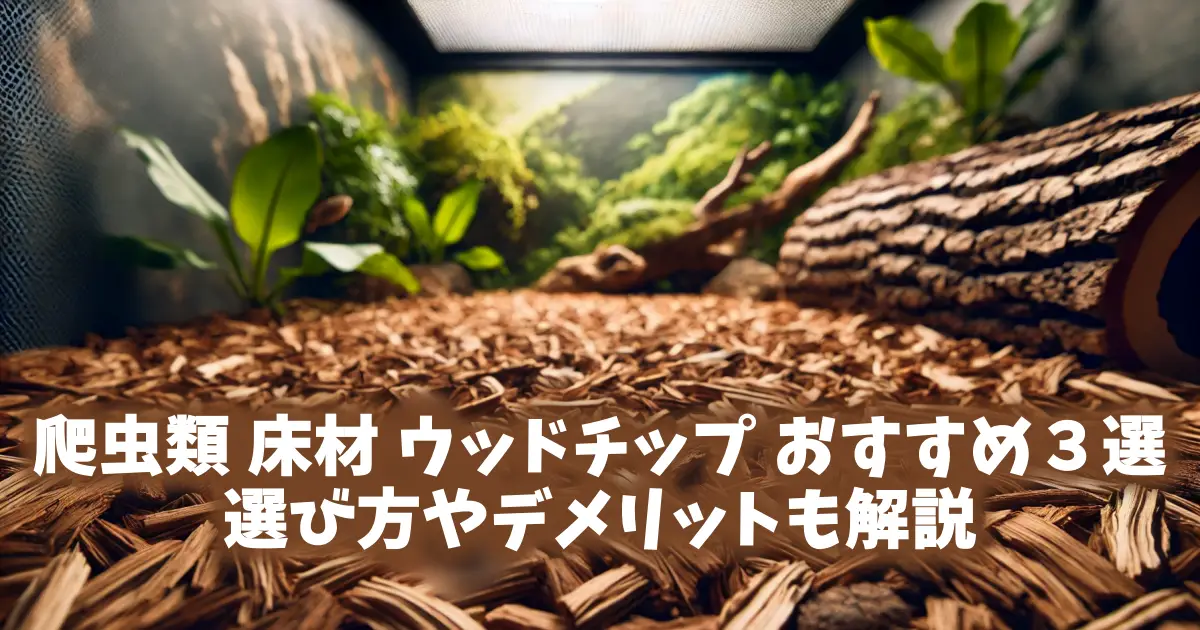 爬虫類 床材 ウッドチップ おすすめ３選｜選び方やデメリットも解説