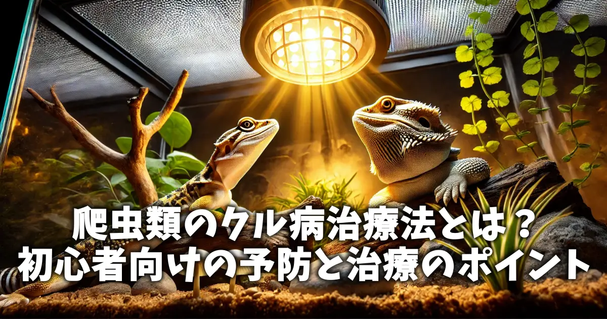 爬虫類のクル病治療法とは？初心者向けの予防と治療のポイント