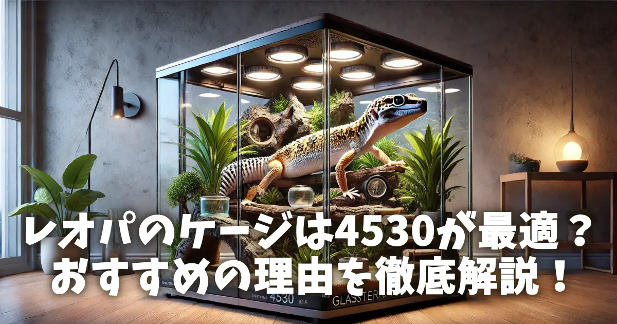 レオパのケージは4530が最適？おすすめの理由を徹底解説！