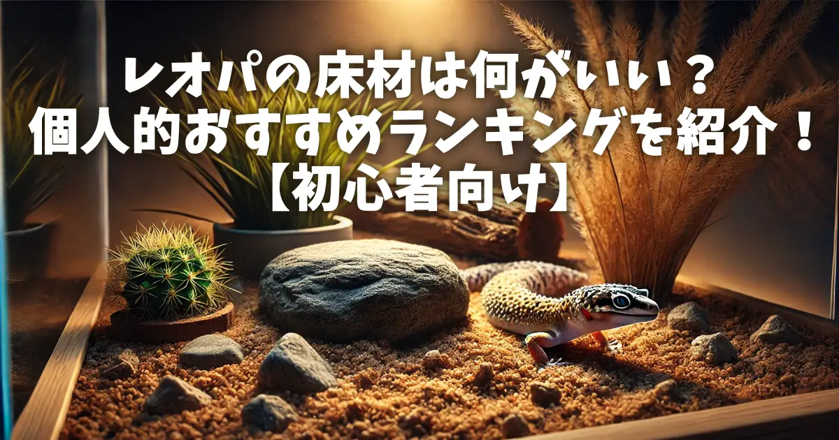 レオパの床材は何がいい？個人的おすすめランキングを紹介！【初心者向け】