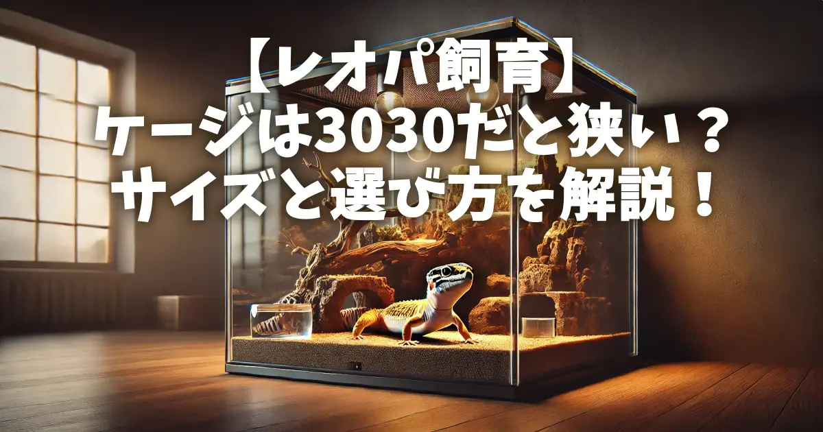 【レオパ飼育】ケージは3030だと狭い？サイズと選び方を解説！